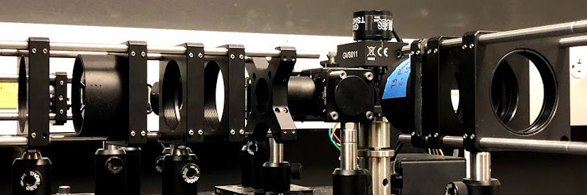 Elizabeth M. C. Hillman banner