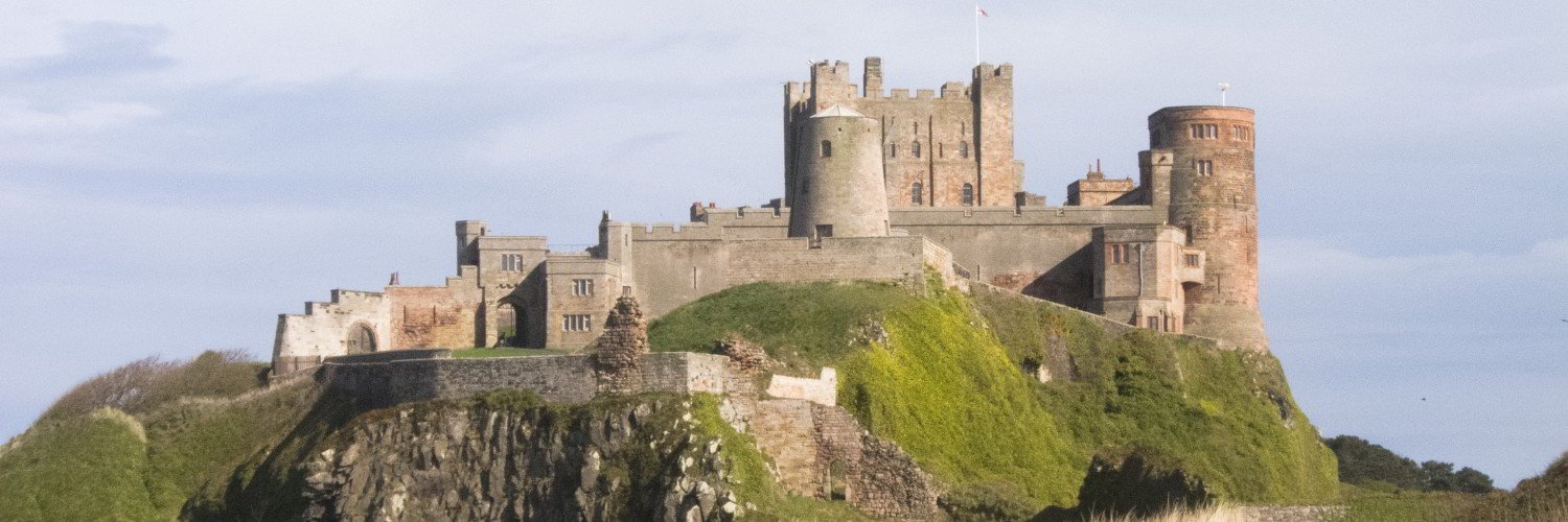 #NETweetUp 🏵 banner