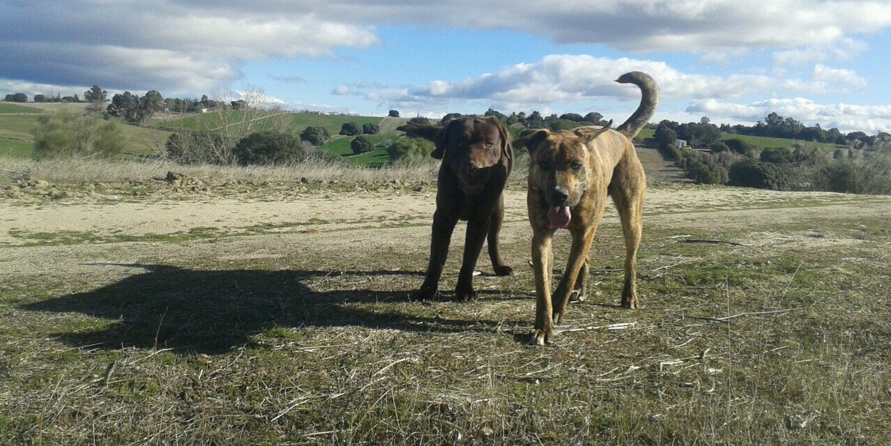 eduhermida's profile banner image
