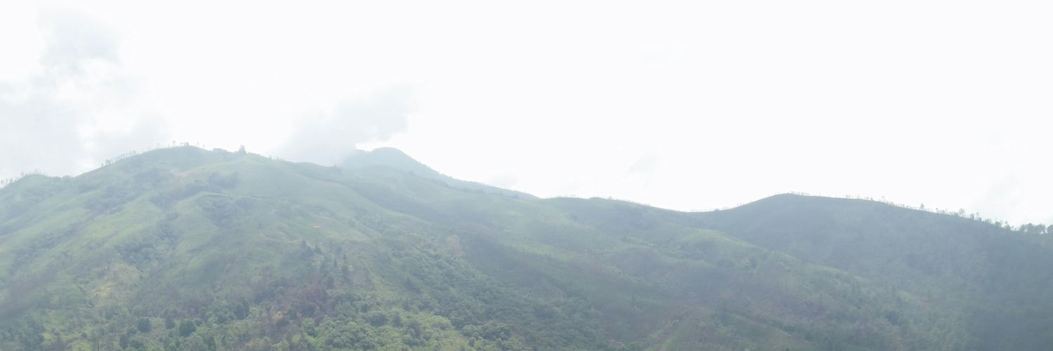 turtle_littl's profile banner image