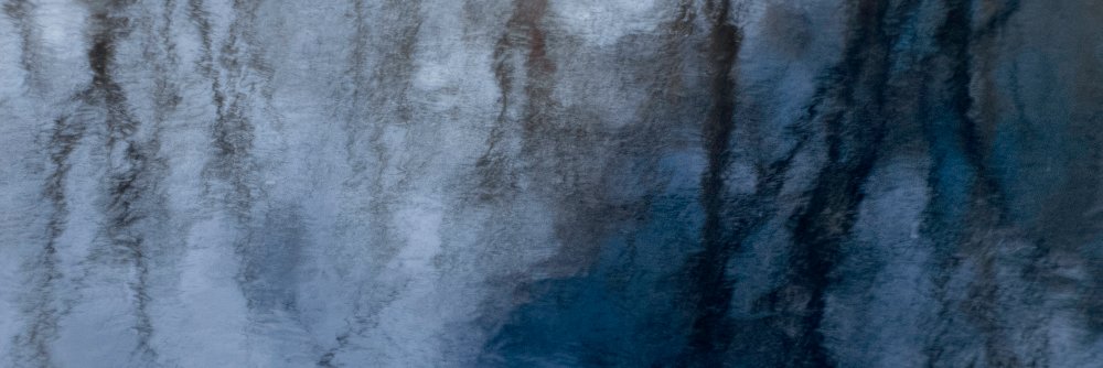 LForinger's profile banner image