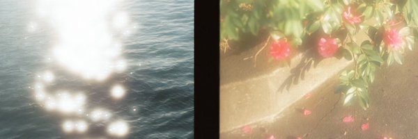 knuna_t Profile Banner