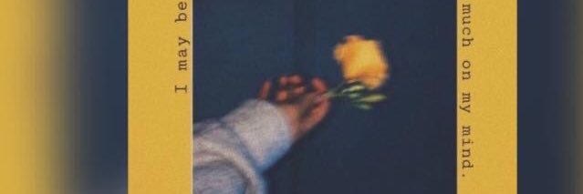 🦋. banner