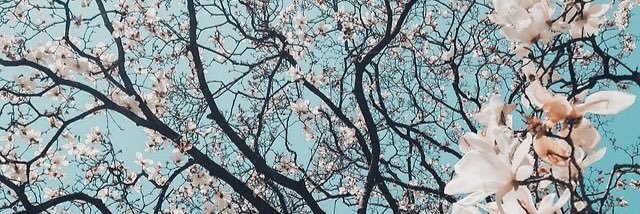 舒則 banner