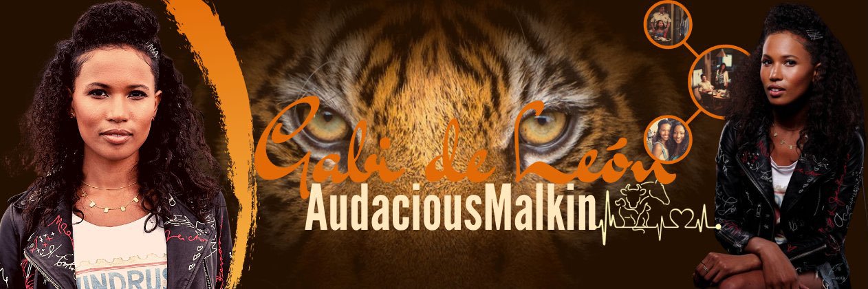 AudaciousMalkin's profile banner image