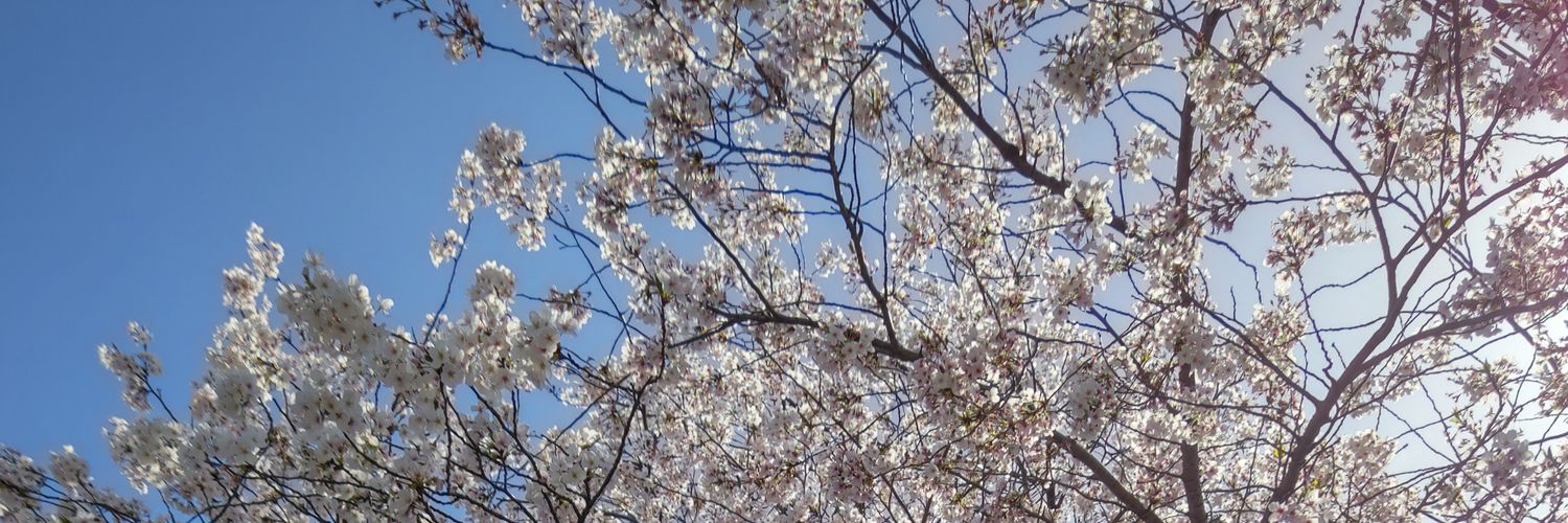 詩乃🏵固定収集物一覧あり banner