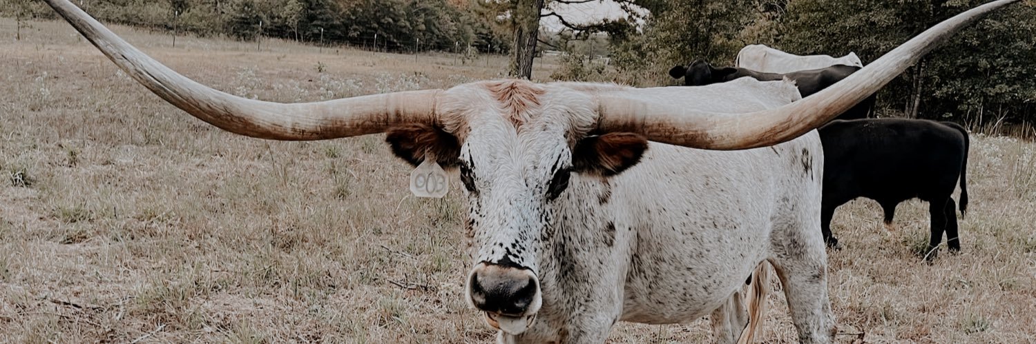 goodellemilee's profile banner image