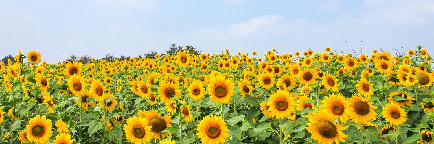 Win28_'s profile banner image