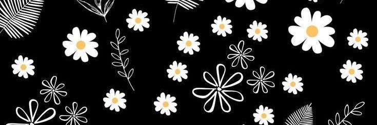 _naahribeiro's profile banner image