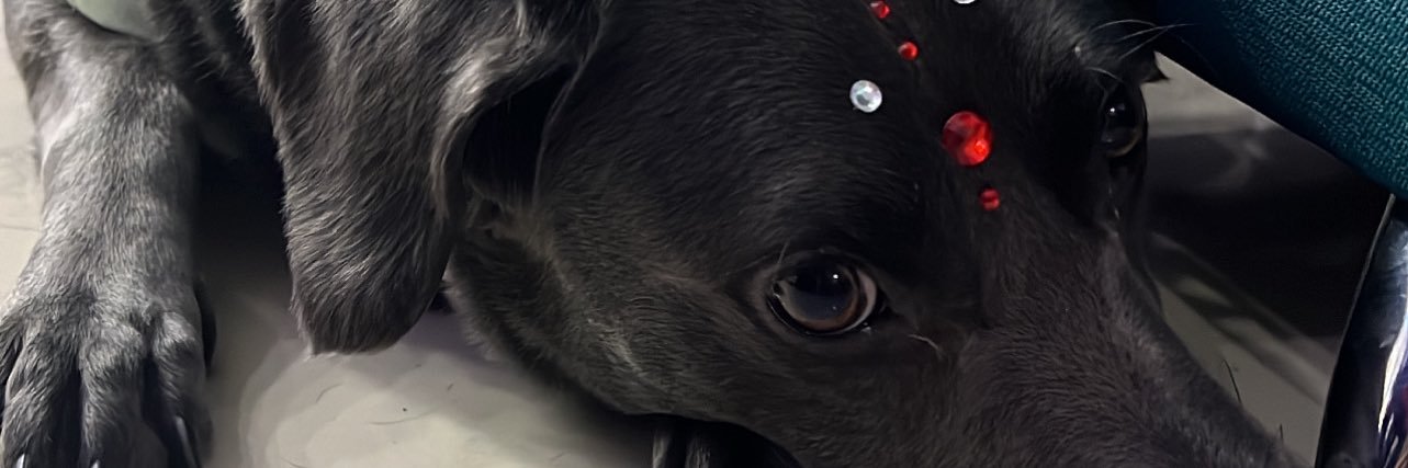 MelTMendez's profile banner image