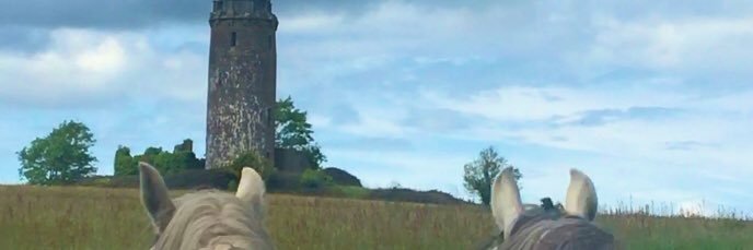 Sandra_Morris's profile banner image