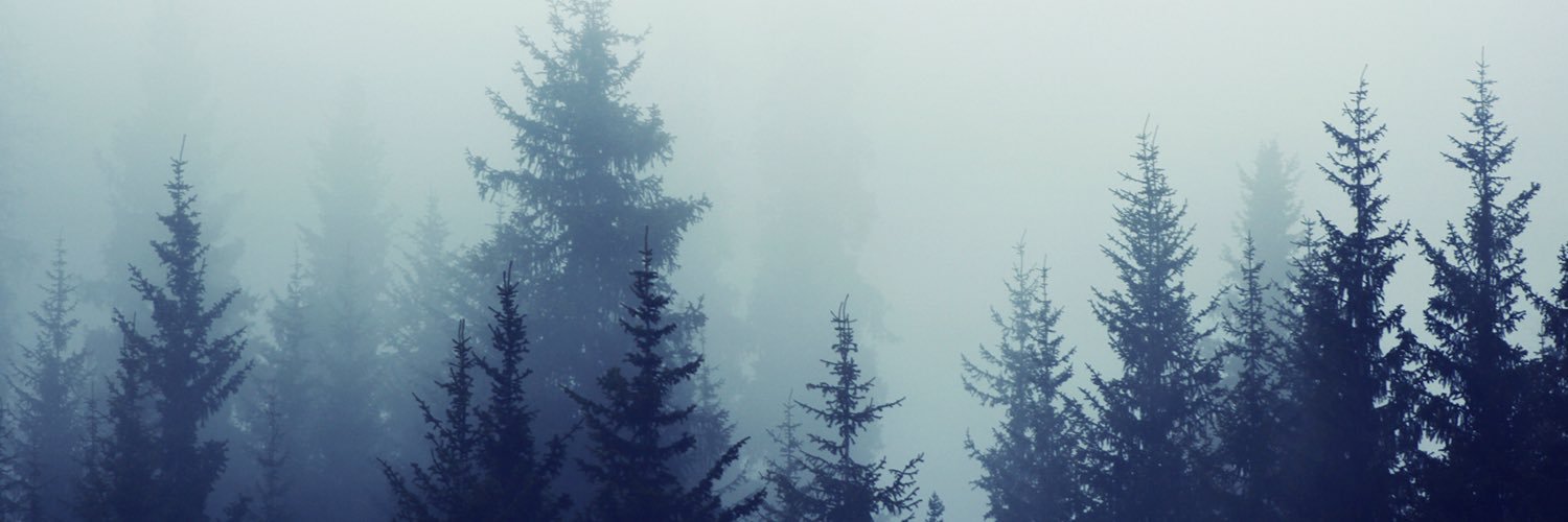 iriscanoo's profile banner image