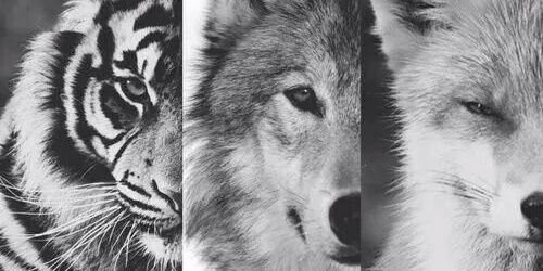 gil_av6's profile banner image
