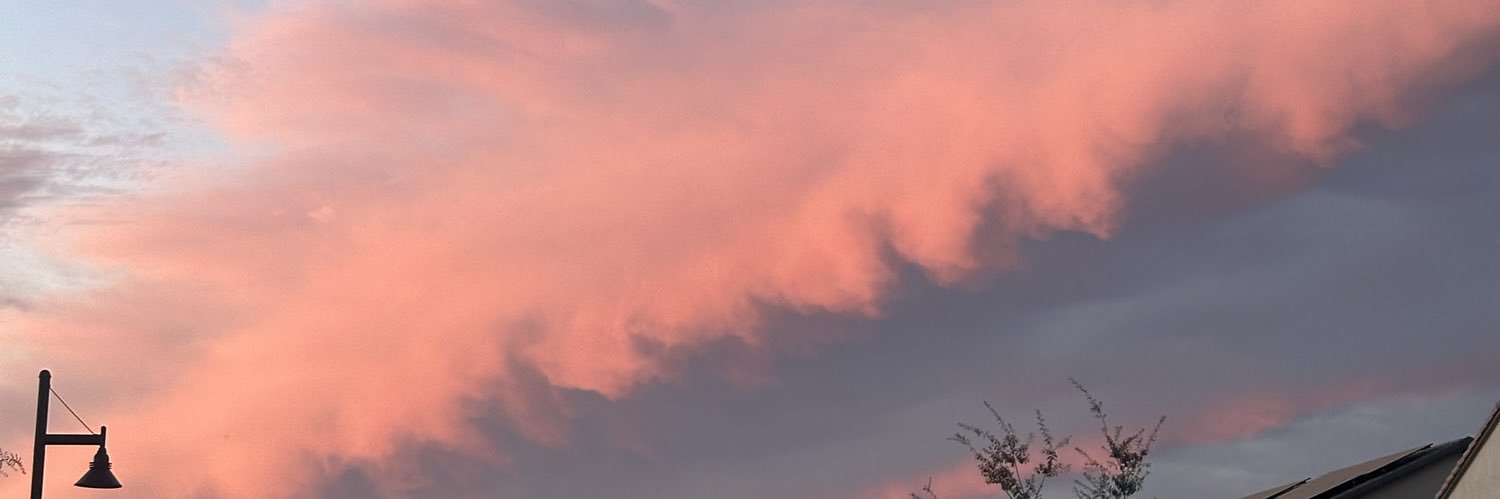 litttlee_d's profile banner image