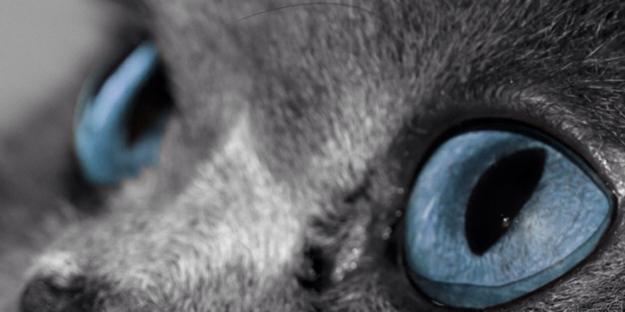 luivr6's profile banner image