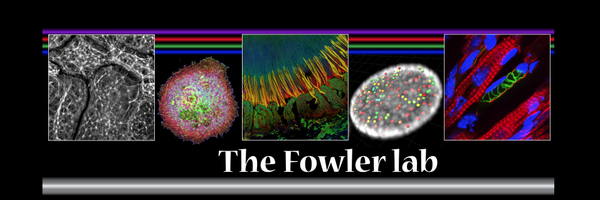 FowlerLab Profile Banner