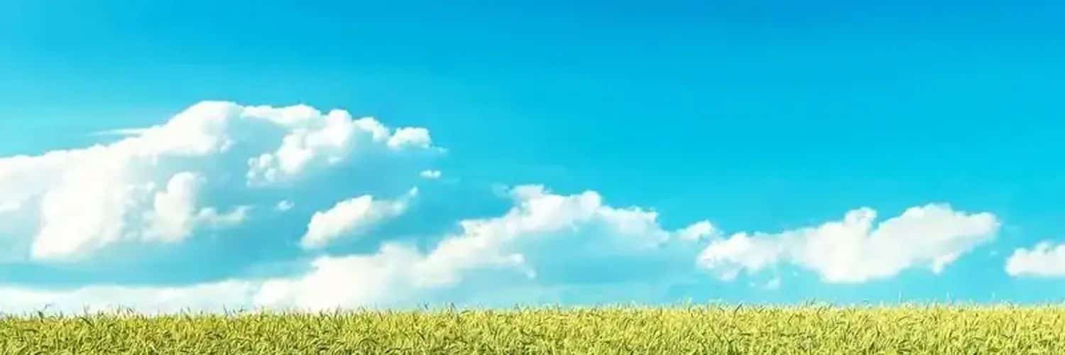 baarut's profile banner image