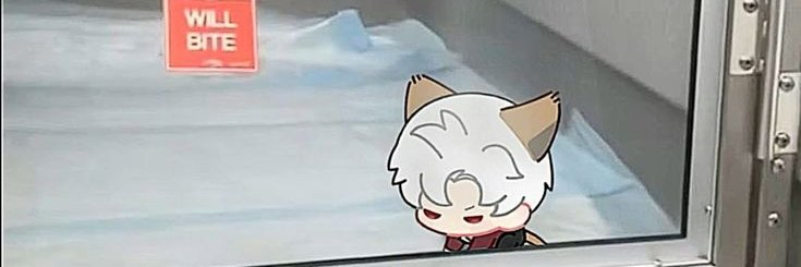 three koalas in a trenchcoat's banner