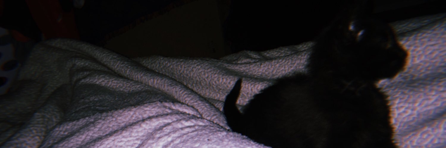 melissa_dabs's profile banner image