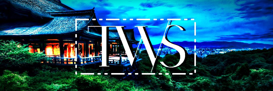 TheyOutlaws [TwS] banner