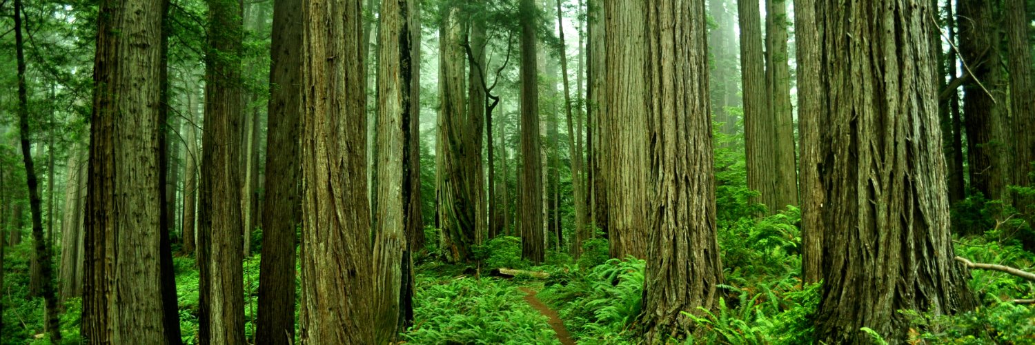 Humboldt County DHHS banner