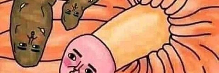 pigscatmg's profile banner image
