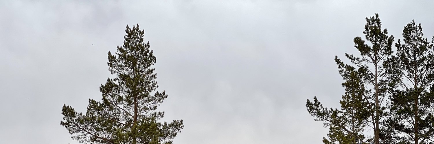 boortsogmn's profile banner image