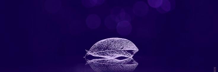 Marylight_11's profile banner image