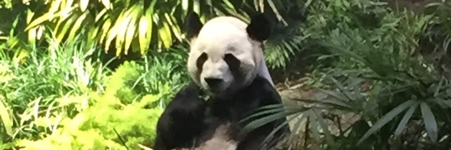 we need a flood... on the fringe 🍎 banner