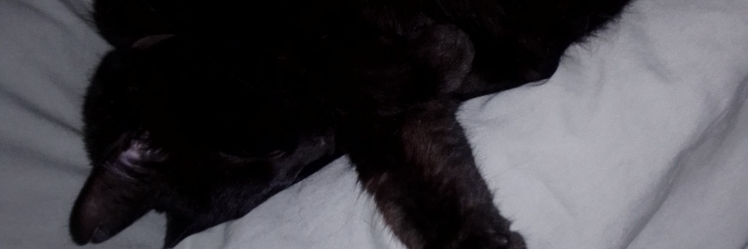 stacieneep's profile banner image