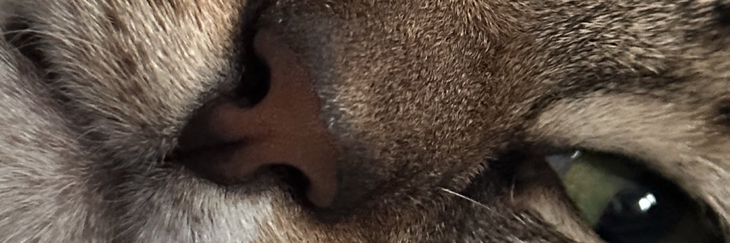 Erol Akyol banner