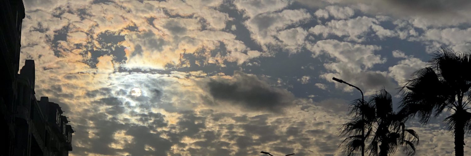 HaidyWalid4's profile banner image