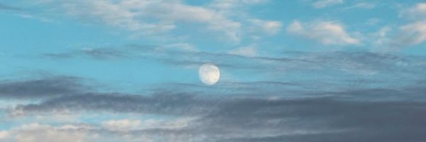 itslazyl Profile Banner