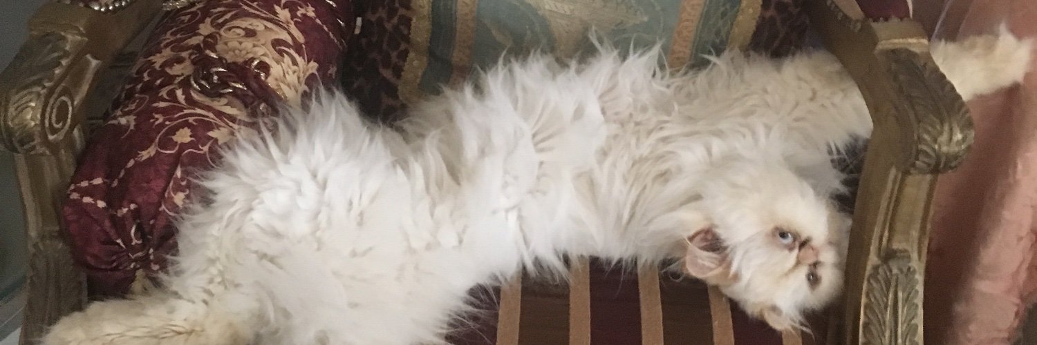 Roccosmum 🗣 banner