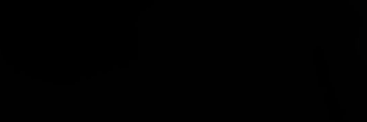 ZJ banner