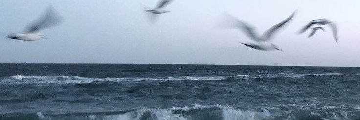 tigagerberas's profile banner image
