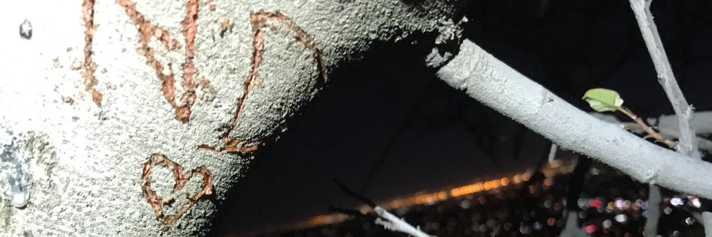 DannyTheCutie's profile banner image