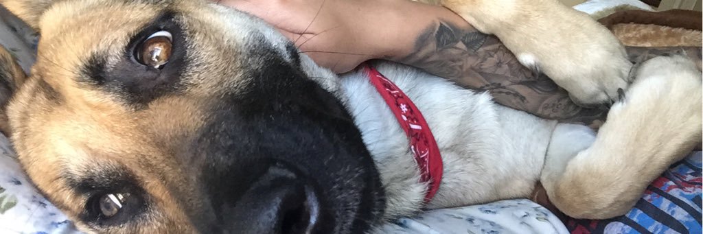 audrie_gomez's profile banner image