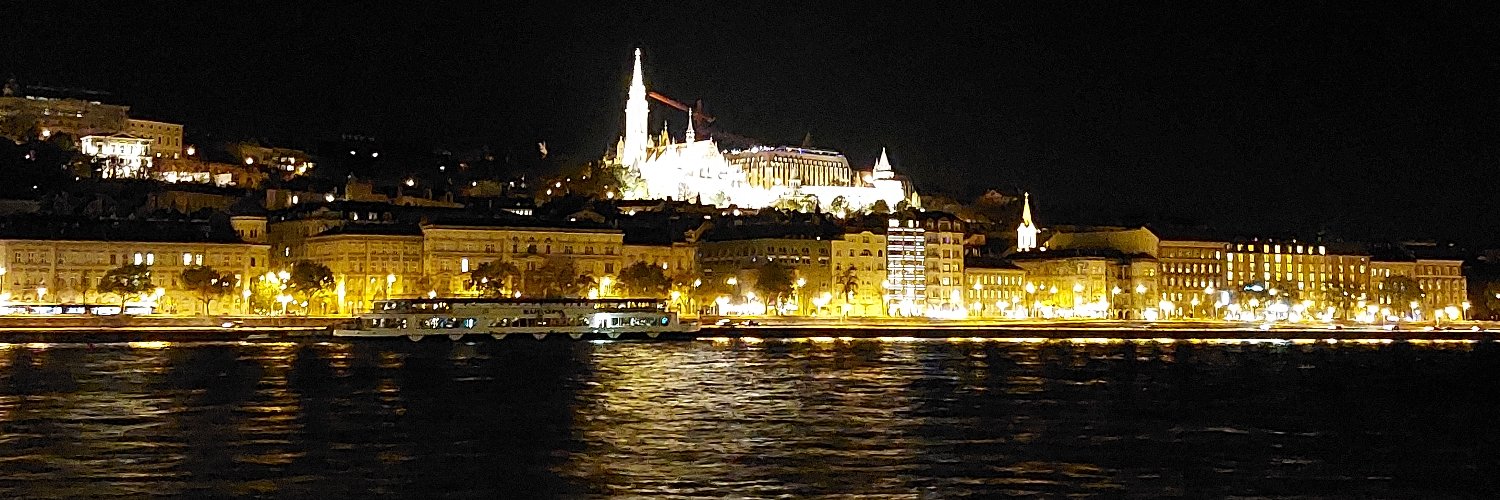 Adrian Nastase banner