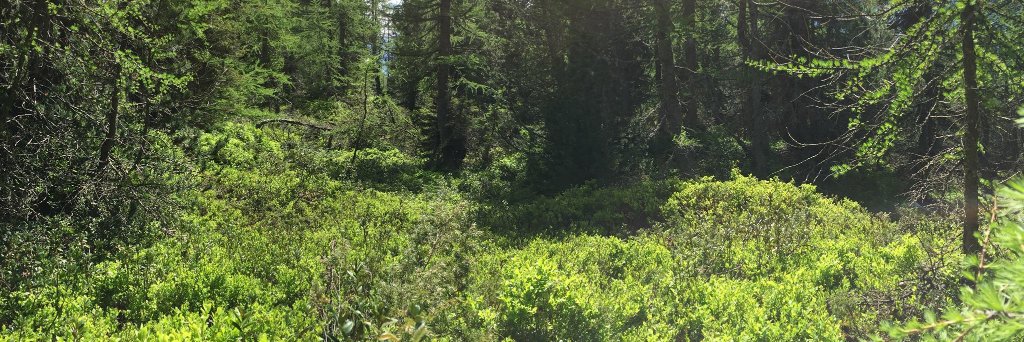 james glattfelder banner