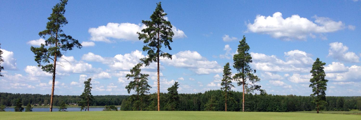 pjriikonen's profile banner image