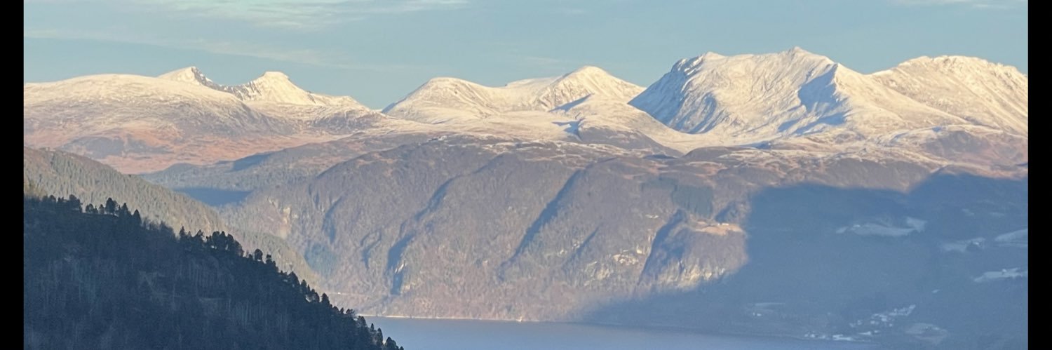 martin8bostrom's profile banner image
