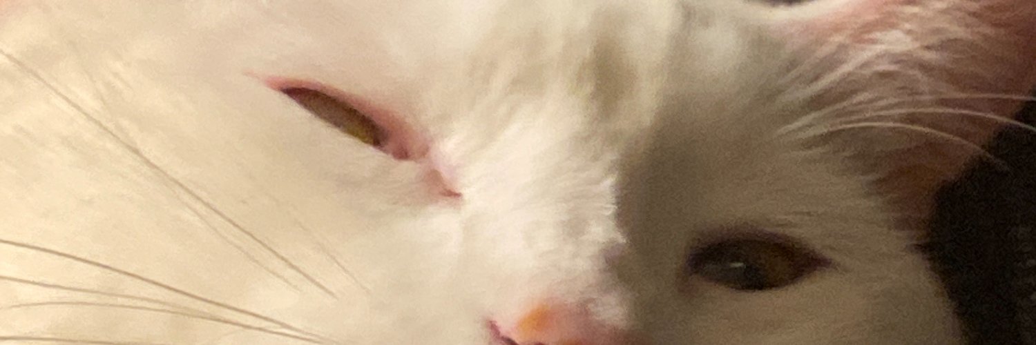 RealGodpa's profile banner image