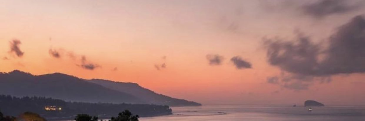 🌈Lau Ghezzi⚘♻️👨‍🦽 banner