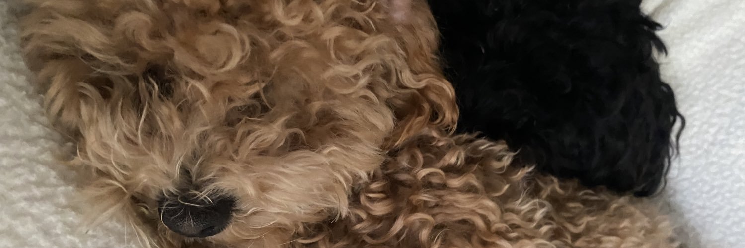 minniec72's profile banner image