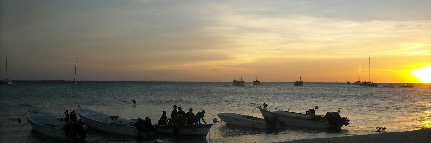 Aliscfarinass's profile banner image