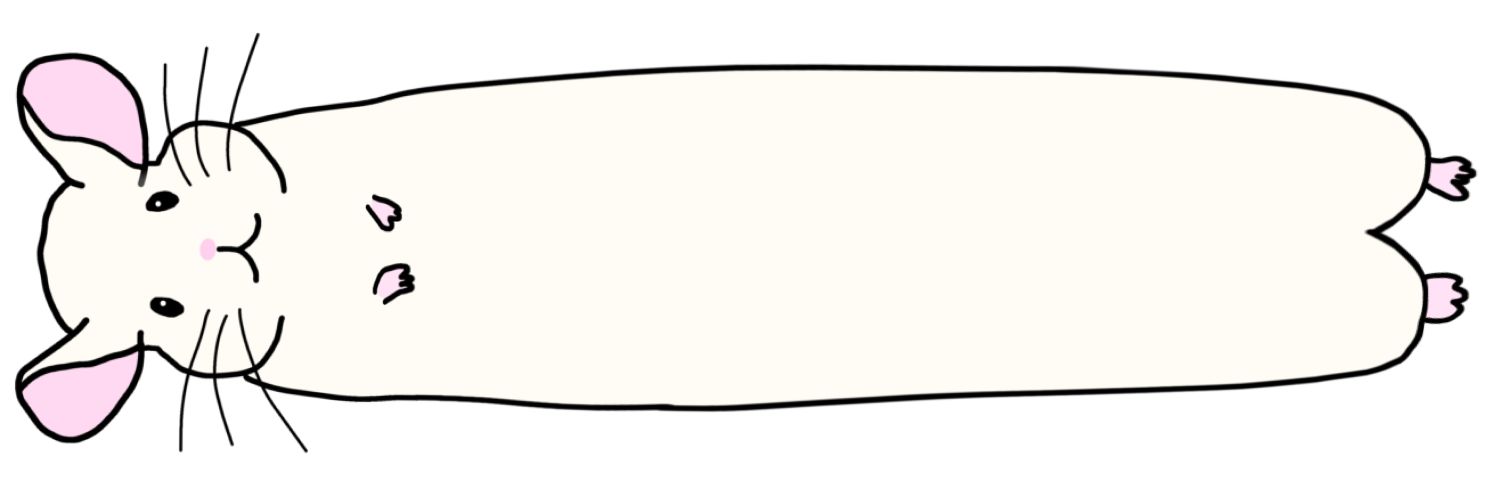 ゆま🖱🐹💕🐰💻 banner