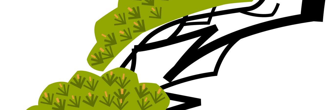 momo_ris's profile banner image