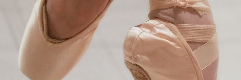 powerhousedball's profile banner image
