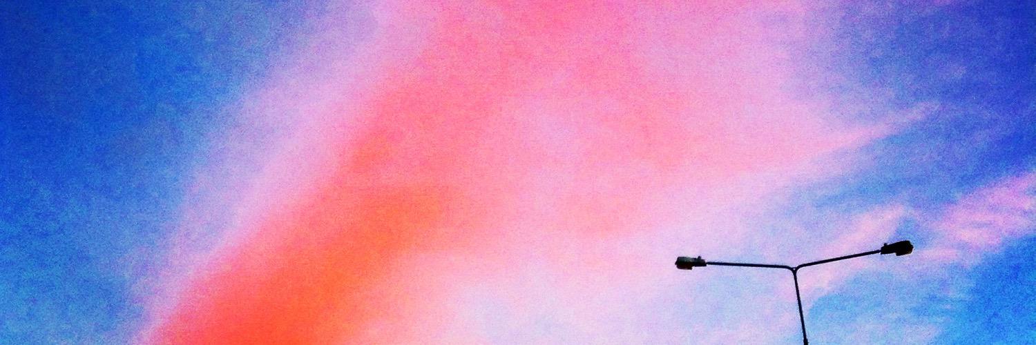 Sarah Mc Fool banner